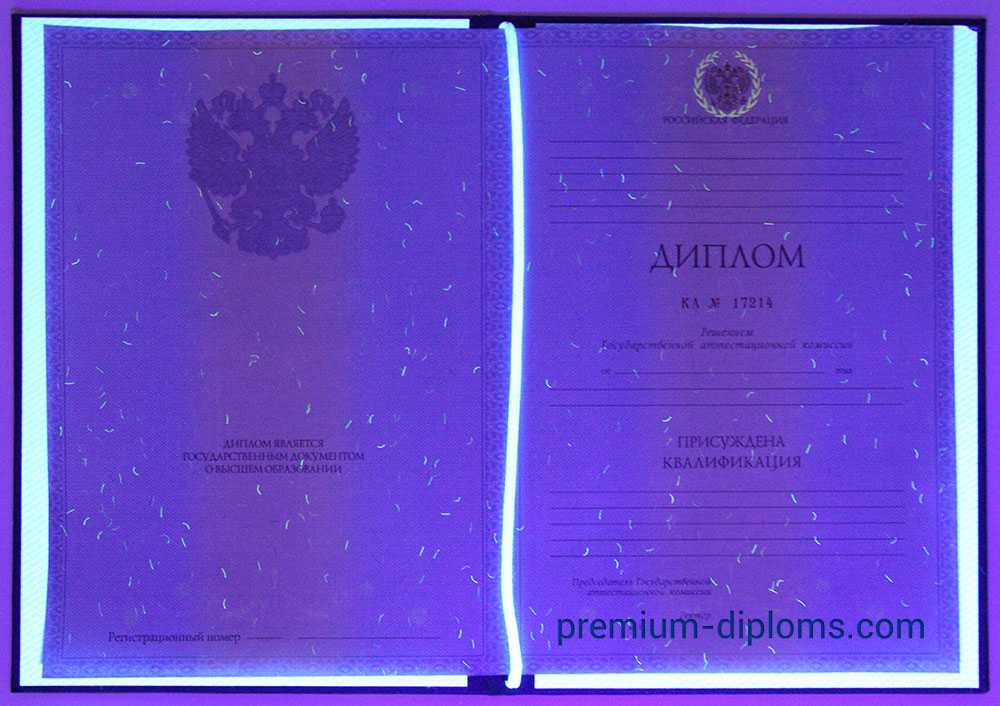 Диплом специалиста 2011-2013 год фото
